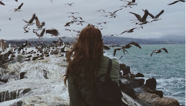 Nada é por acaso...