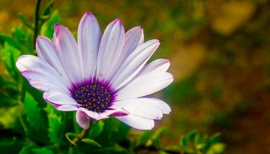 Em 2016, seja perseverante!