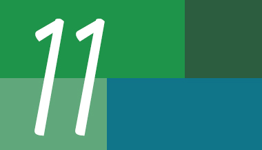 O número 11 e o ano de 2009