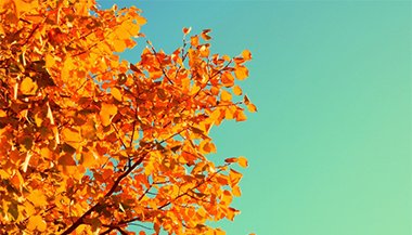 Equinócio de outono e sua magia