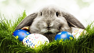 Páscoa e Renascimento: aquilo que vem de dentro