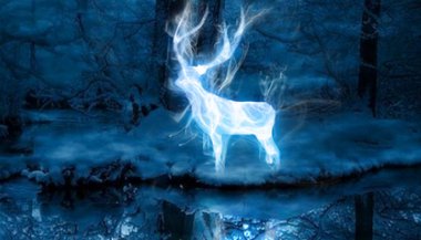 Patrono de cada signo