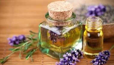 Fitoenergética: proteção espiritual com perfumes orgânicos