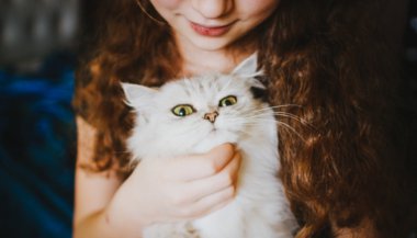 Vou reencontrar meu pet quando falecer?