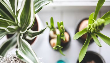 Simpatias para proteção