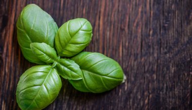 Manjericão: significado, propriedades e benefícios