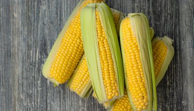 Sonhar com milho: mensagens ocultas, significados e o que esperar do futuro