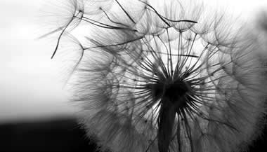 Sonhos - A fronteira dos paradigmas