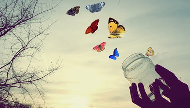 O que Freud e Jung falam sobre sonhos?