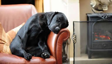 A importância de dormir e relaxar para renovar as energias