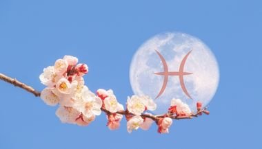 Lua Nova em Peixes — 20 de fevereiro de 2023