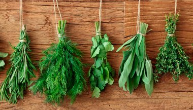 Benefícios dos temperos