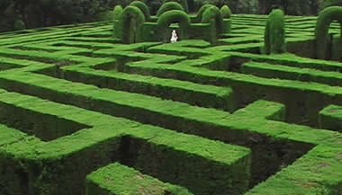 Terapia do sonho: Labirinto das emoções