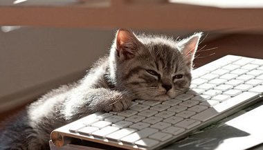 Mude os comportamentos destrutivos