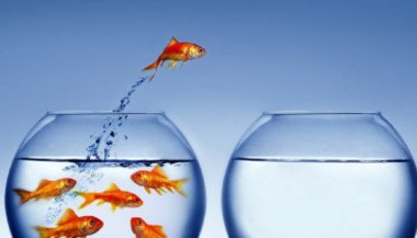 Transição entre Peixes e Aquário