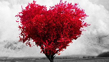 Uma definição de amor