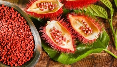 Urucum: significado, propriedades e benefícios