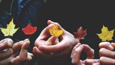 Combinações entre os signos: Virgem