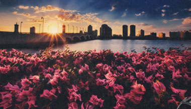 Você tem uma vida de pode ser?