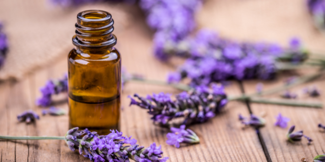 óleo de lavanda