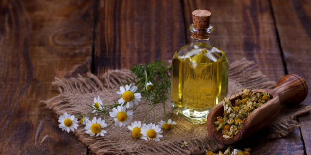 óleo de camomila