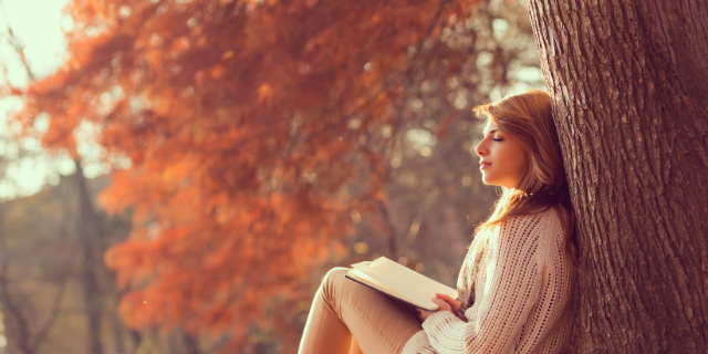 Mulher isolada na floresta lendo um livro
