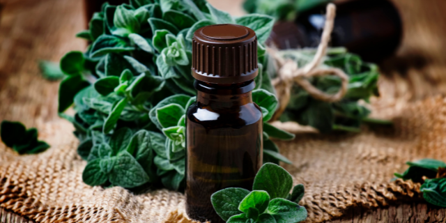 óleo de orégano