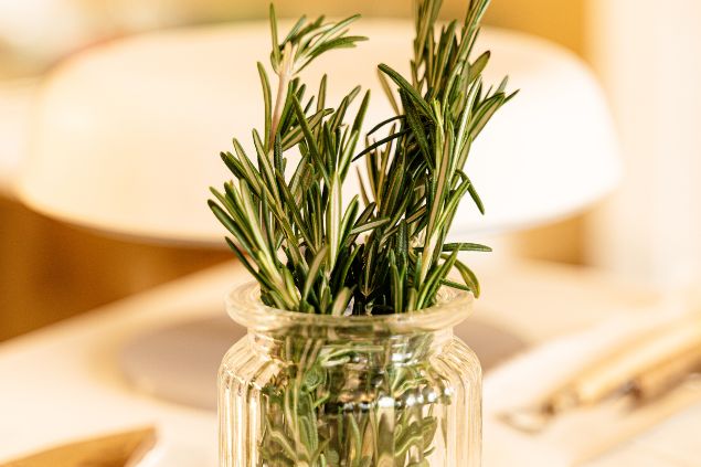 Alecrim em um pote de vidro