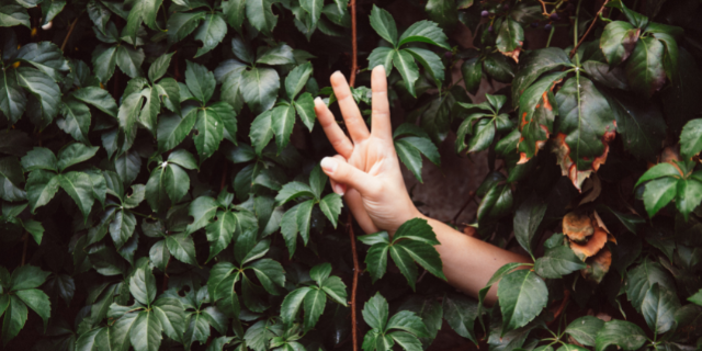 Pessoa fazendo o número três com a mão