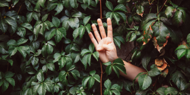Pessoa fazendo o quatro com as mãos
