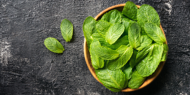 Foto de maço de hortelã frescas em bacia