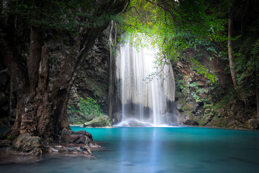 Floresta com cachoeira de águas cristalinas