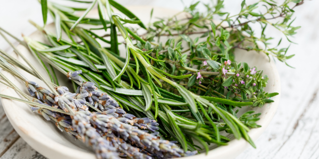 Ramo de alecrim em prato branco