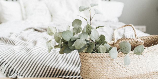 Cesta de eucalipto sobre uma cama