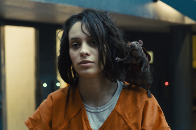 Caça-Ratos 2 - Daniela Melchior