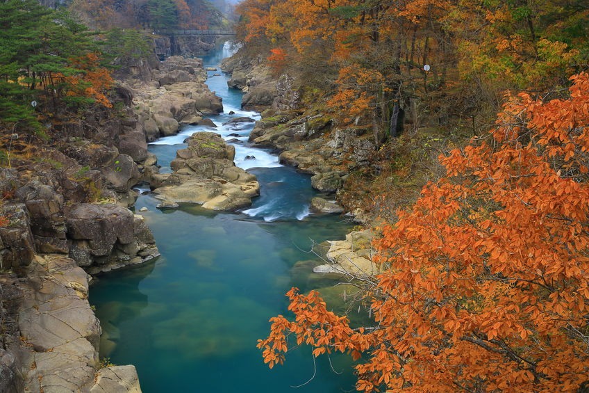 Rio limpo com pedras e árvores ao redor