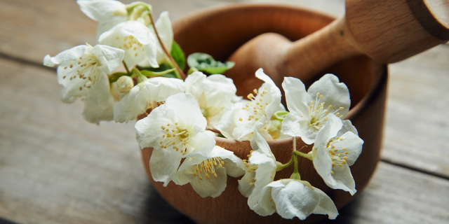 Ramo de jasmim em pote de barro