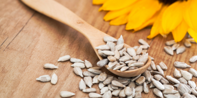 Sementes de girassol