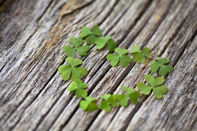 Imagem de alguns trevos de 4 folhas, postos juntos em formato de coração