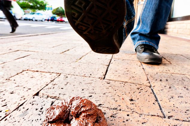 Imagem de uma pessoa prestes a pisar em um cocô