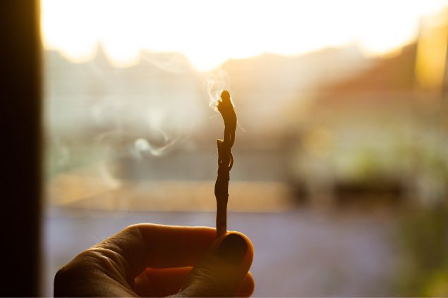 Imagem de uma mulher segurando um Palo Santo com resquício de fumaça.
