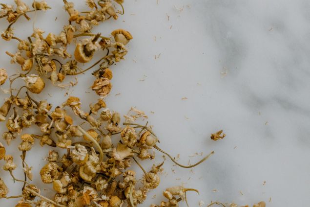 Imagem da camomila ressecada