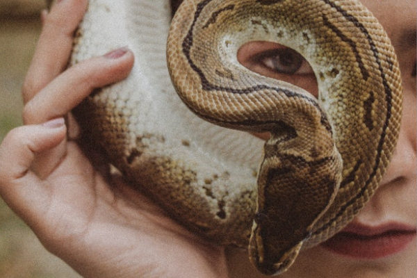 Mulher branca com cobra ao redor do rosto.