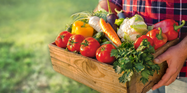 Pessoa carrega vegetais em caixa de madeira. 