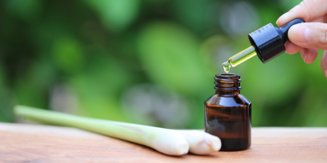 MonthiraYodtiwong / Getty Images / Canva Imagem de erva cidreira capim e óleo em cima de uma mesa