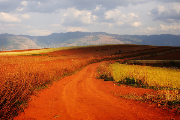Estrada de terra vermelha