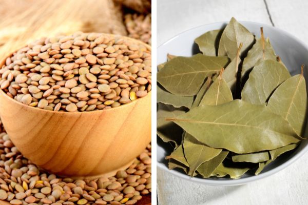 Imagem em gride de lentilha e folhas de louro