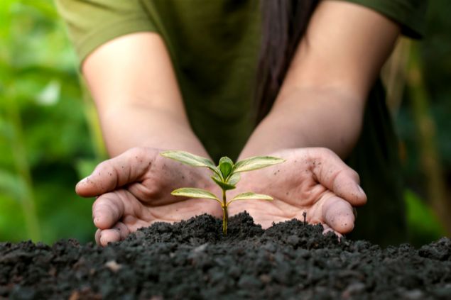 Imagem de uma pessoa plantando 