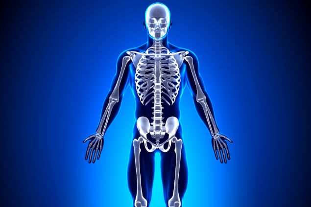 Esqueleto de forma ilustrativa em um fundo azul