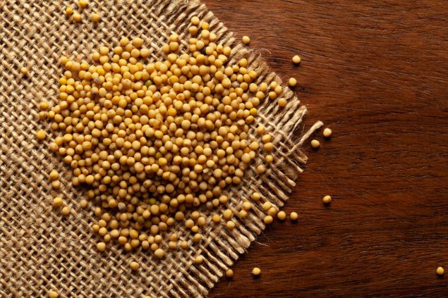Sementes de mostarda.